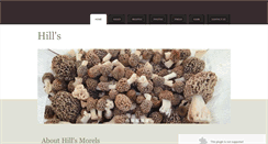 Desktop Screenshot of hillsmorels.com