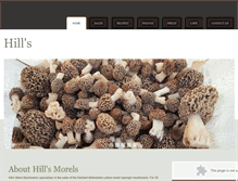 Tablet Screenshot of hillsmorels.com